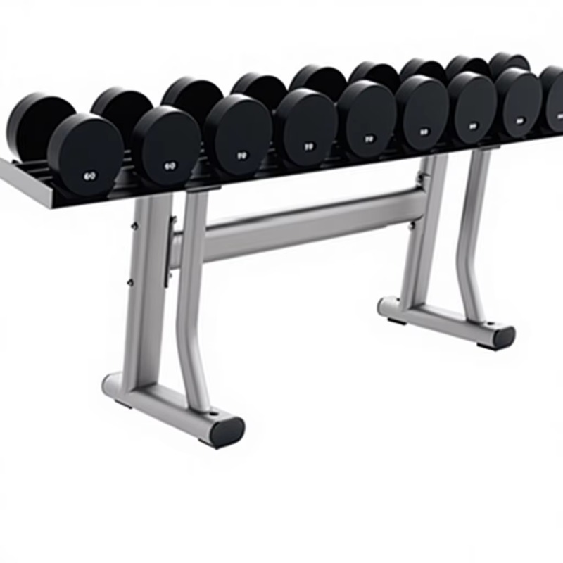 Heavy Equipment Center - YTYIN Commercial Gym Storage Dumbbell Rack